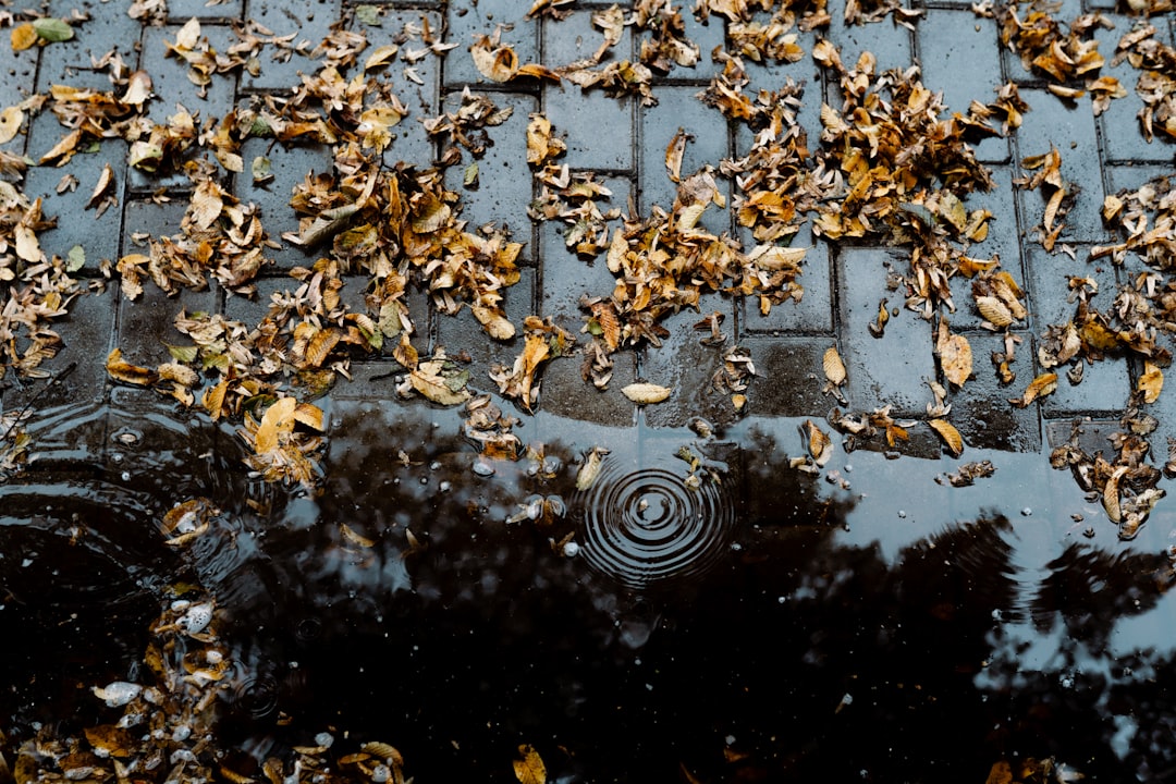 Seasonal Changes and Migraines Why Thanksgiving Weather Matters